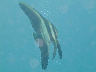 �~�J�d�L�c�o���E�I