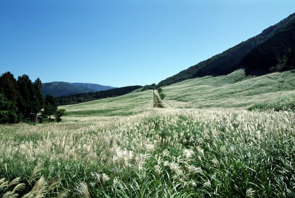 hakone10.jpg