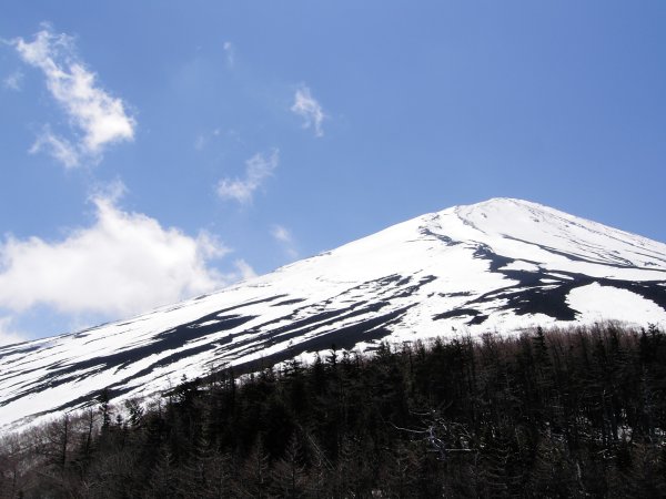 Img_fuji18.jpg